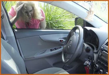 Village Locksmith Store Orlando, FL 407-572-0176 - 15-emergency-lockout